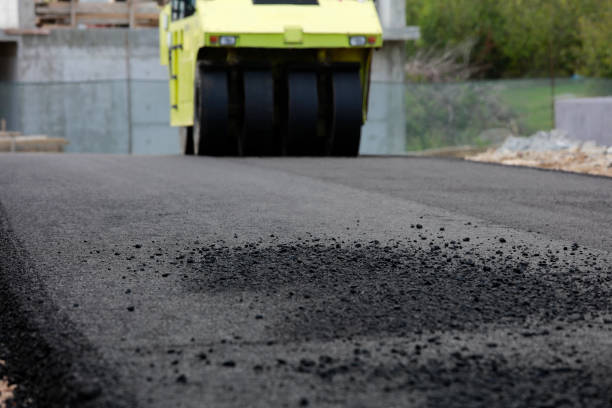 Best Driveway Repair Near Me  in Shorewood, IL